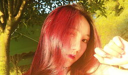 草草爱视频,揭秘现代都市情感生活的真实面貌